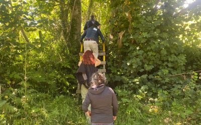 Anti-Defuturing: Infrastructuring for Socio-Technical Sustainability