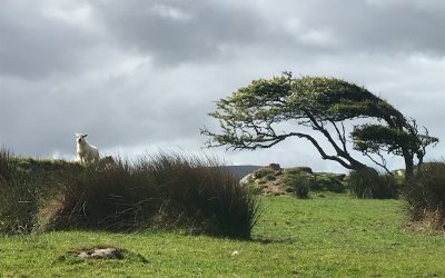 Another Sample Blog Post