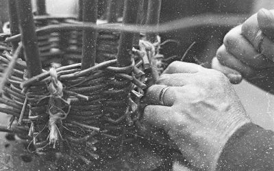 How To Make a Traditional Willow Lobster Pot