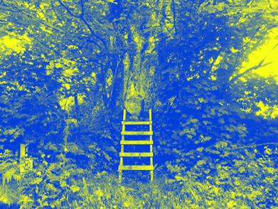 25.5 Hours on Whiddy Island 25.5hrs on Whiddy Island