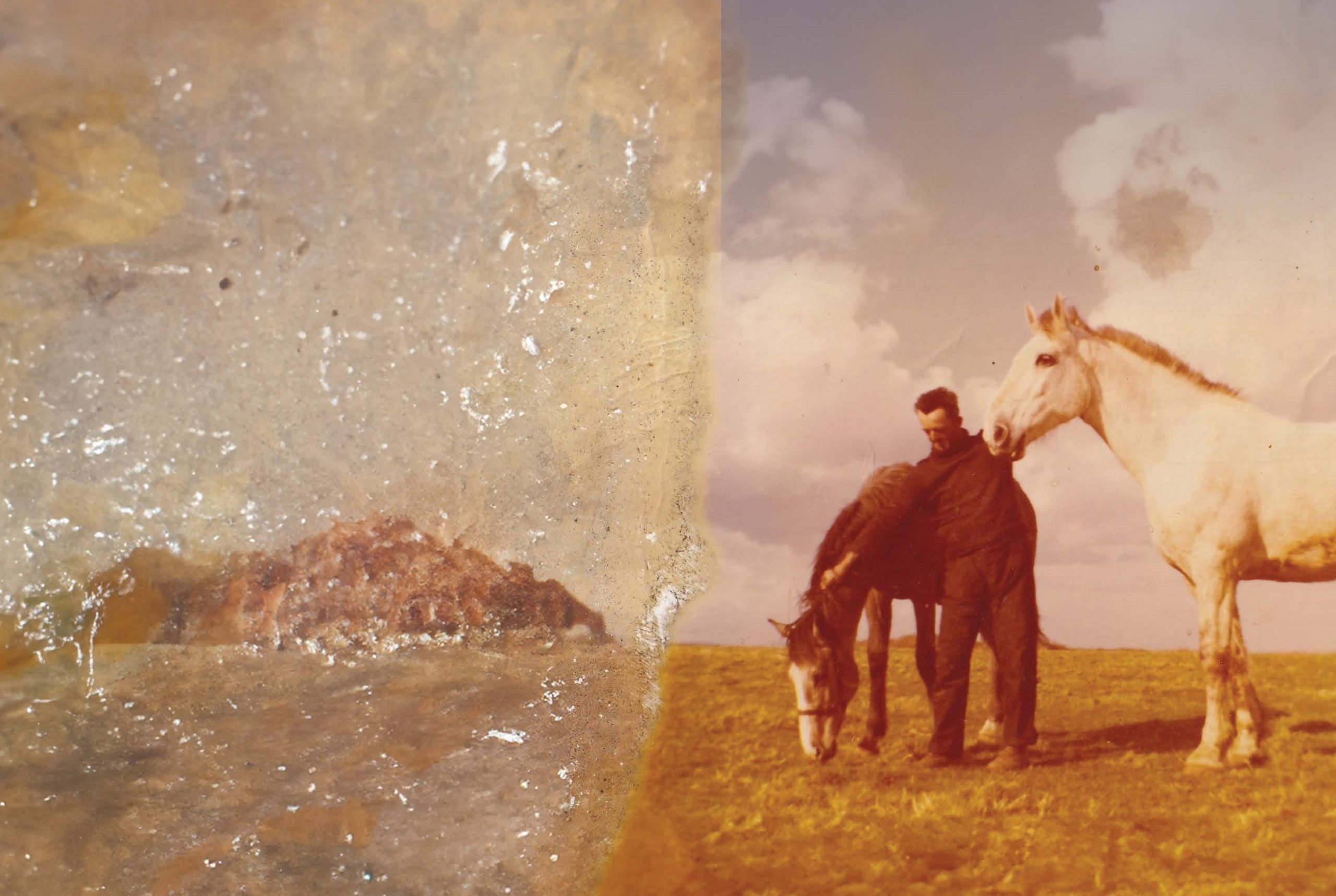 The Museum of Birds & Beasts book launch & readings